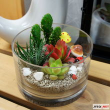 俏皮綠植送清涼，花卉禮品助你留住夏日清新